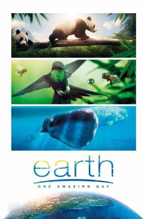 Earth: One Amazing Day (2017) tainies Online | anime movies series Earth: One Amazing Day (2017) ταινιες online seires xrysoi greek subs